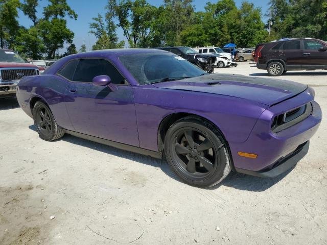 2010 Dodge Challenger R/T VIN: 2B3CJ5DT1AH189655 Lot: 47719924