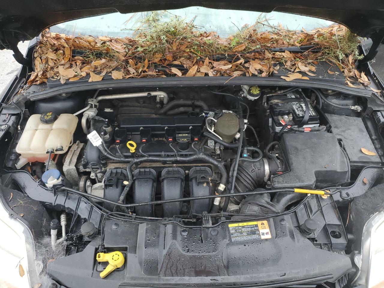 1FADP3F24EL180330 2014 Ford Focus Se