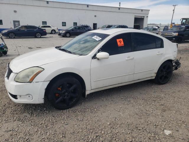 Lot #2443660752 2006 NISSAN MAXIMA salvage car