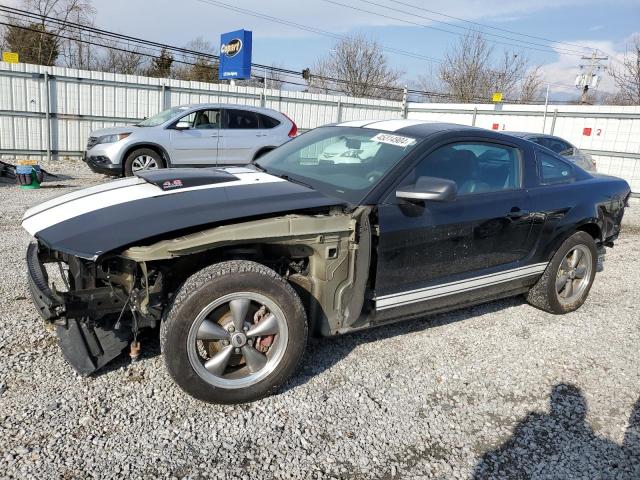Lot #2376452400 2005 FORD MUSTANG GT salvage car
