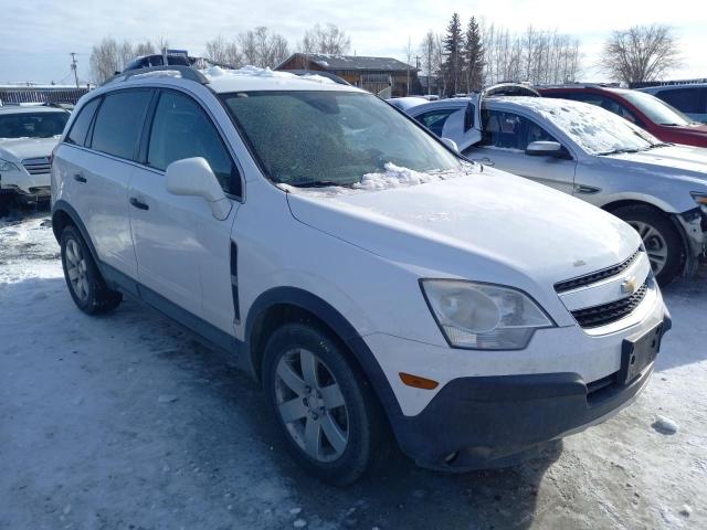 Lot #2505692780 2012 CHEVROLET CAPTIVA salvage car