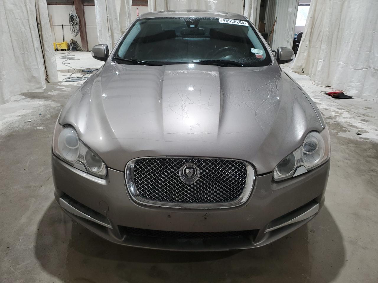 SAJWA05B69HR08082 2009 Jaguar Xf Luxury