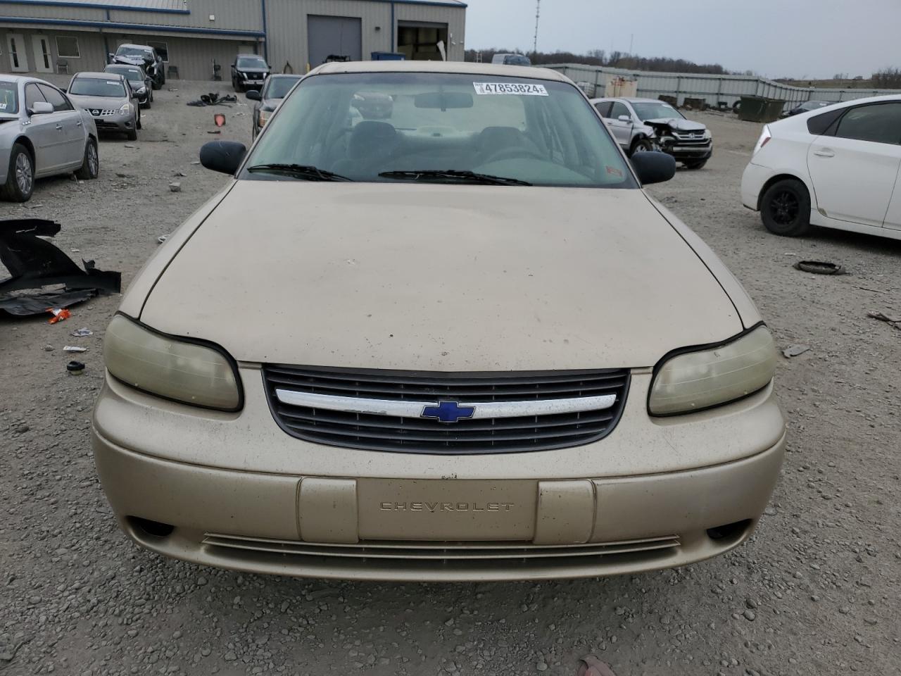 1G1ND52J43M556542 2003 Chevrolet Malibu