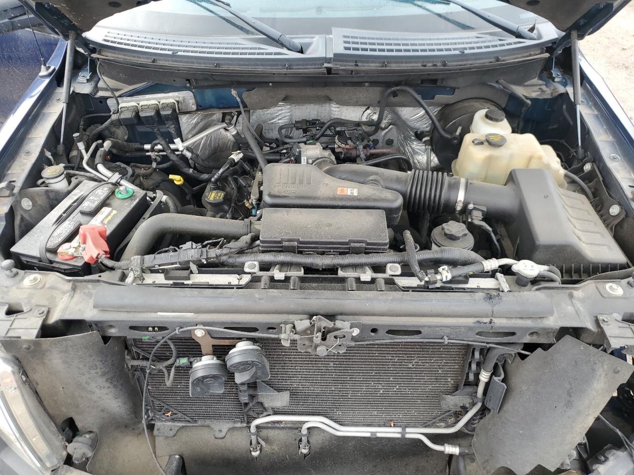 1FTRF12W59KC91531 2009 Ford F150