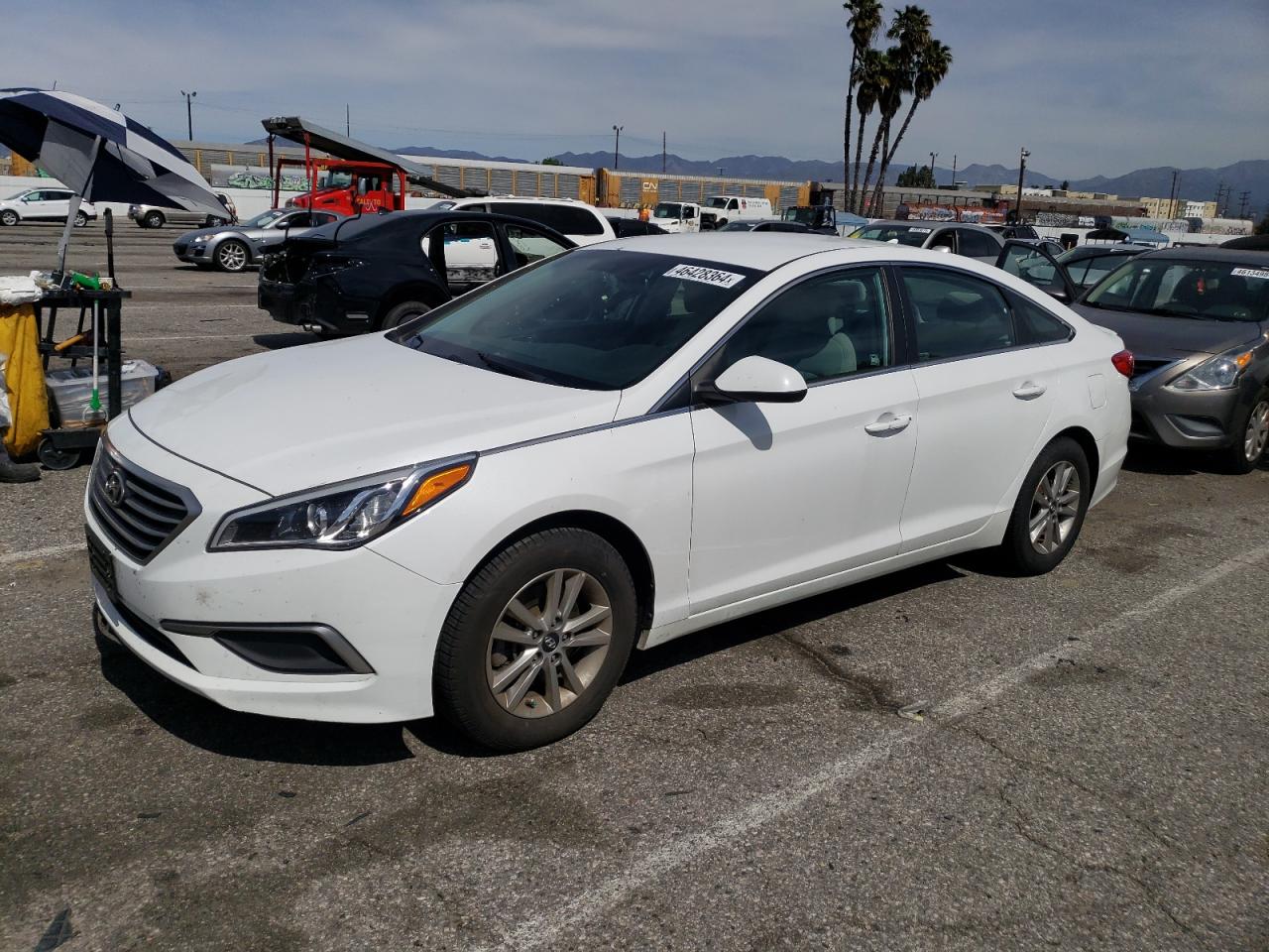 2017 Hyundai Sonata Se vin: 5NPE24AF8HH511786