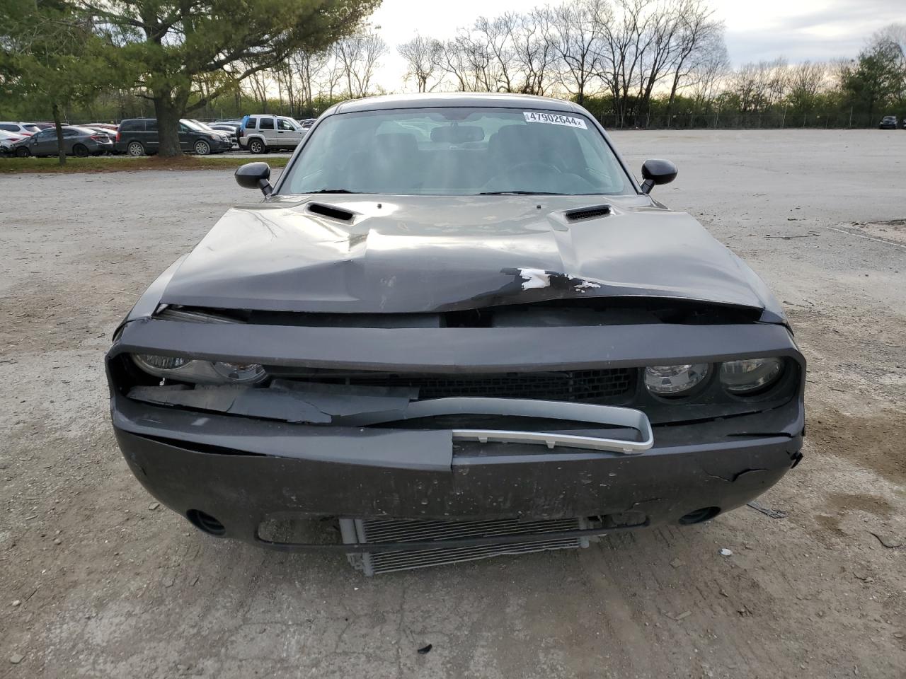 2C3CDYAG7DH685616 2013 Dodge Challenger Sxt