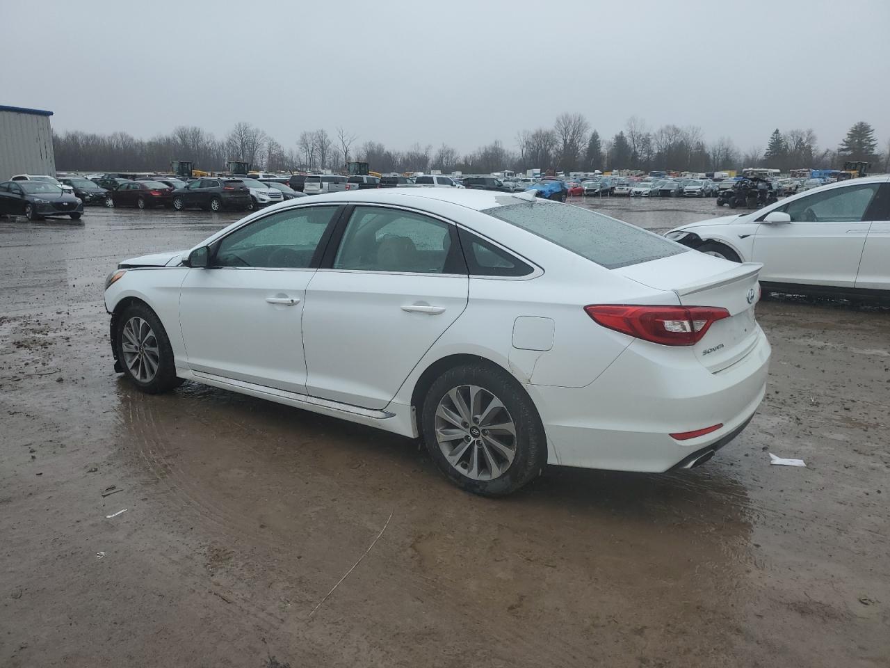 5NPE34AF7FH094073 2015 Hyundai Sonata Sport
