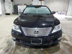 LEXUS LS 460 photo