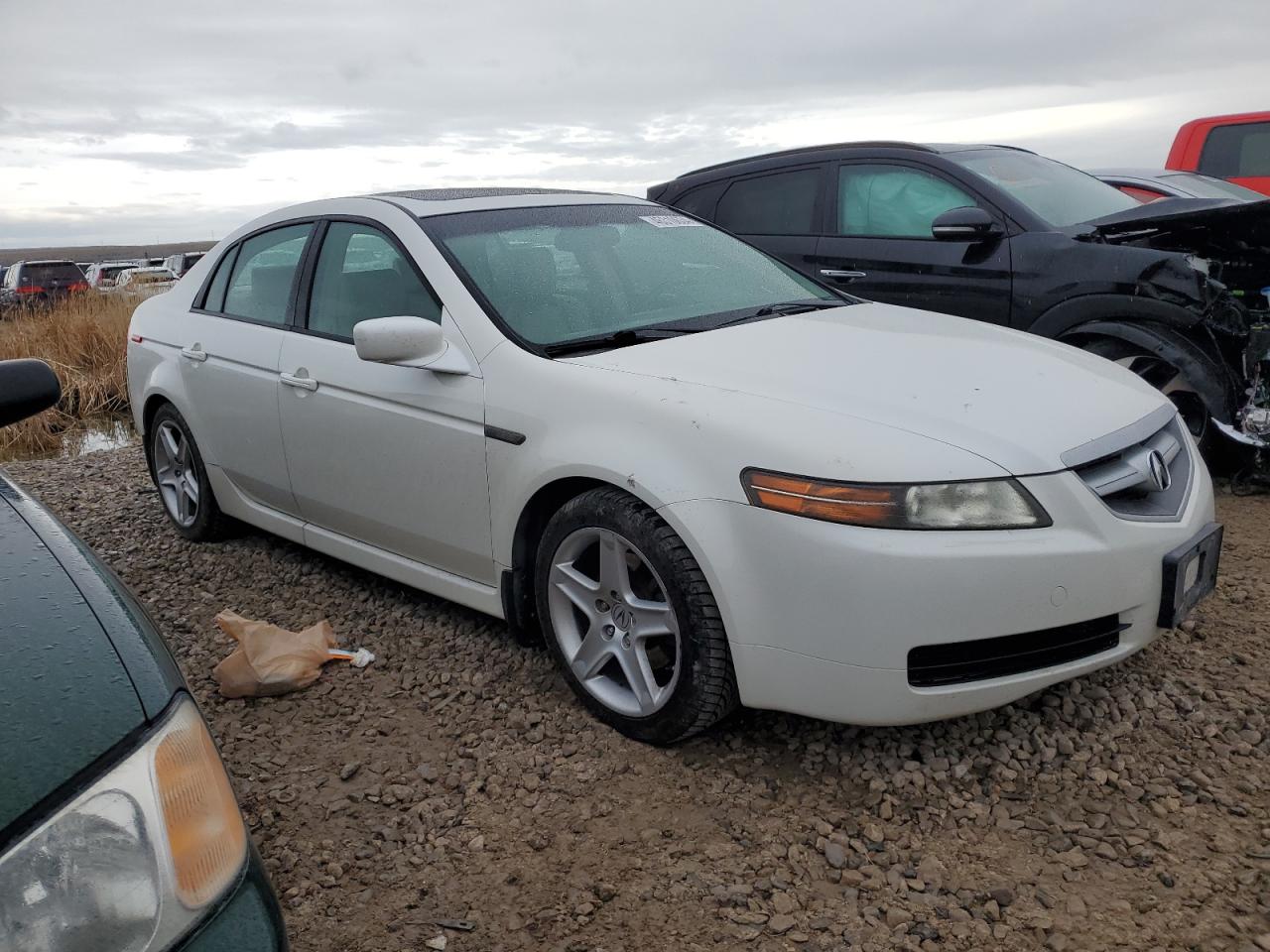 19UUA66236A039874 2006 Acura 3.2Tl