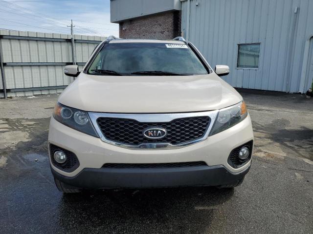 2007 Toyota Rav4 Limited VIN: JTMBD31V276051905 Lot: 46177754