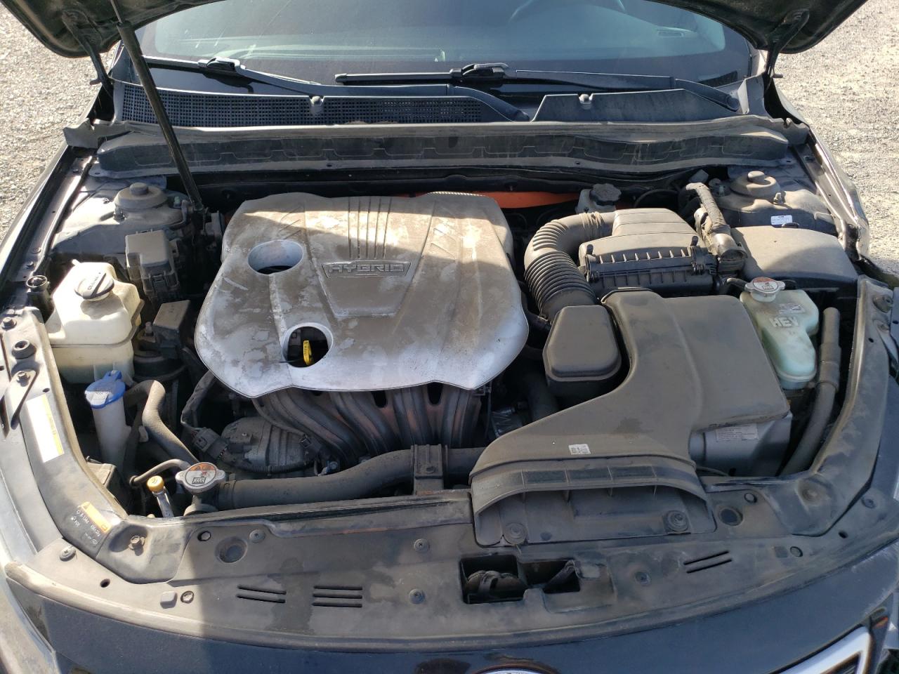 KNAGM4AD8D5053482 2013 Kia Optima Hybrid