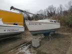 Lot #3029397686 1977 CCHM SAIL BOAT