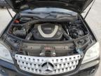 MERCEDES-BENZ ML 350 photo