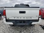 TOYOTA TACOMA DOU photo