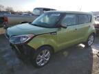 KIA SOUL + photo