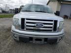 FORD F150 SUPER photo