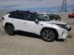 Lot #3024727743 2023 TOYOTA RAV4 PRIME