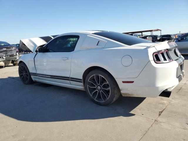 2013 Ford Mustang VIN: 1ZVBP8AM8D5204748 Lot: 47175464