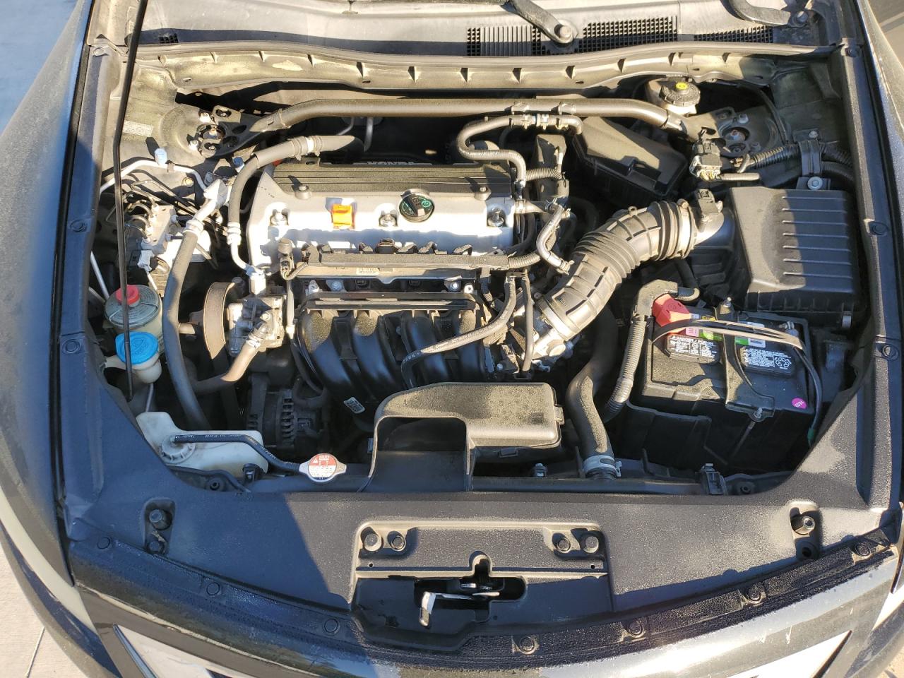 1HGCS1B82AA018013 2010 Honda Accord Exl