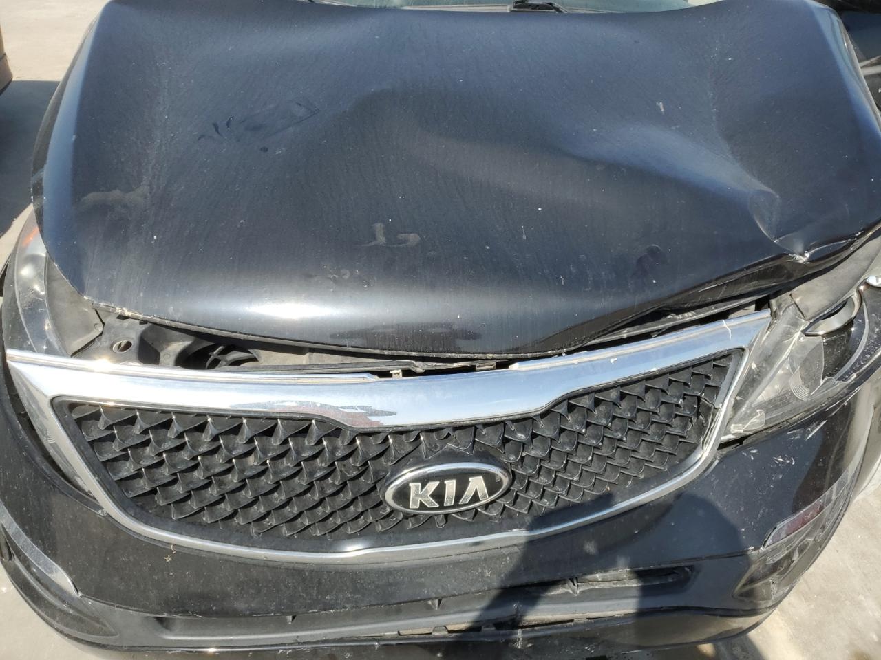 KNDPB3AC7G7837784 2016 Kia Sportage Lx