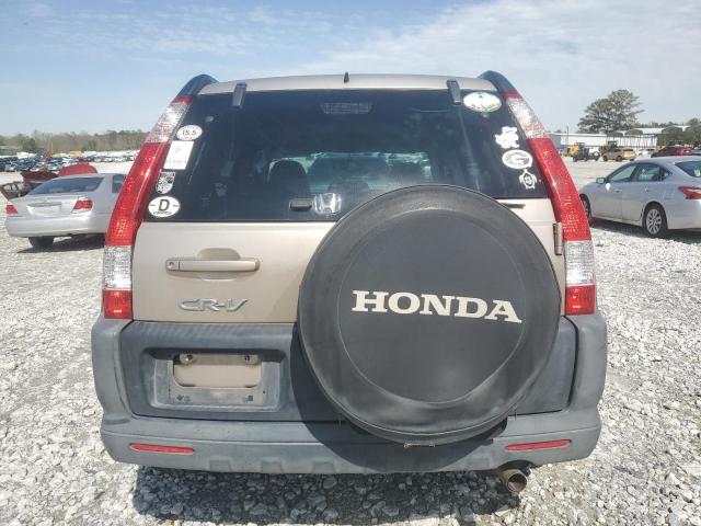 2006 Honda Cr-V Ex VIN: JHLRD68866C023401 Lot: 48528804