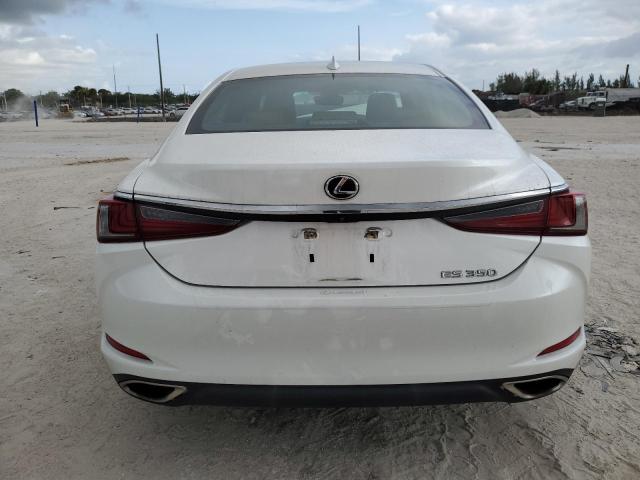 2019 LEXUS ES 350 - 58ABZ1B14KU021881