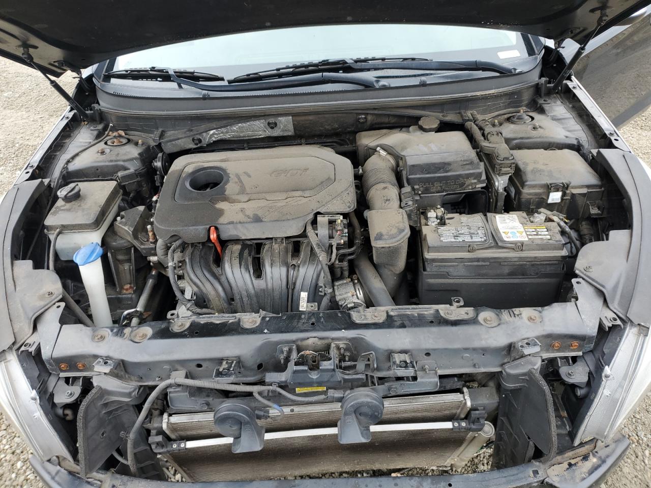 5NPE34AF8GH321126 2016 Hyundai Sonata Sport