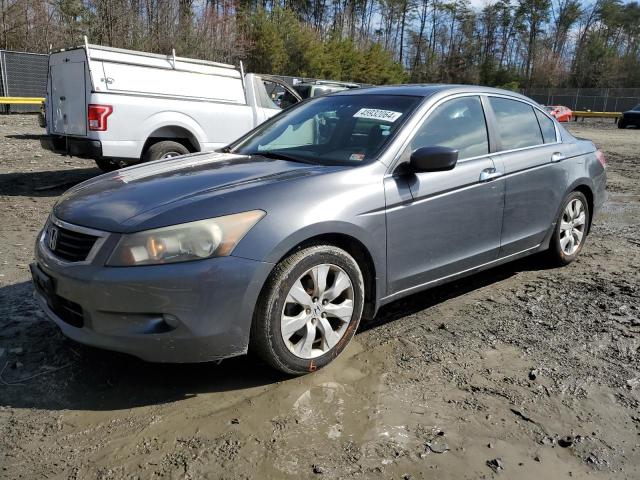 HONDA ACCORD EXL