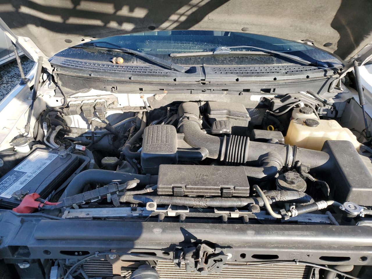 1FTFW1EV4AFC39228 2010 Ford F150 Supercrew