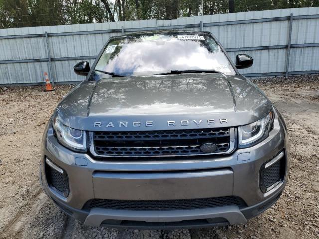 auksion car