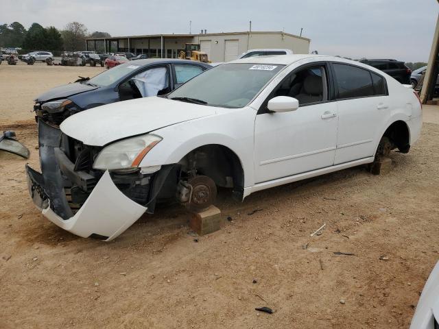 Lot #2414428263 2008 NISSAN MAXIMA salvage car