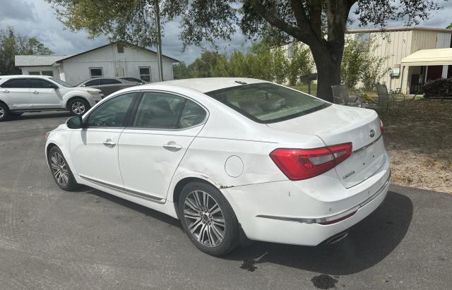 2014 Kia Cadenza Premium VIN: KNALN4D78E5138602 Lot: 46062934