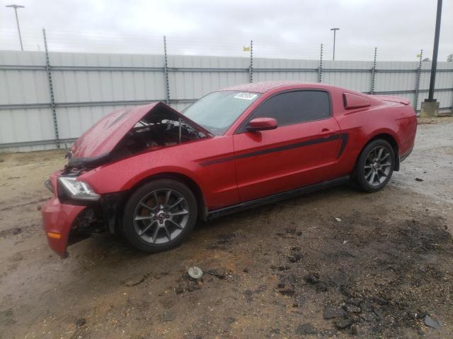 Lot #2494492478 2012 FORD MUSTANG salvage car