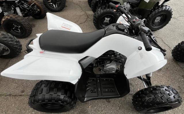 2022 YAMAHA YFM90 R RF3AB11E6NT005741