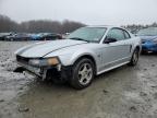 2019 FORD MUSTANG - 1FAFP40694F234633