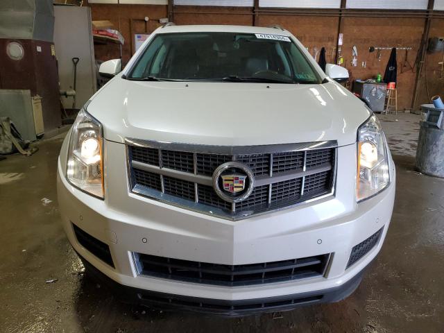 2010 Cadillac Srx Luxury Collection VIN: 3GYFNDEY8AS524664 Lot: 47914304