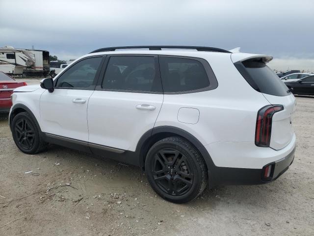 2023 Kia Telluride Sx VIN: 5XYP5DGC8PG342209 Lot: 48289134