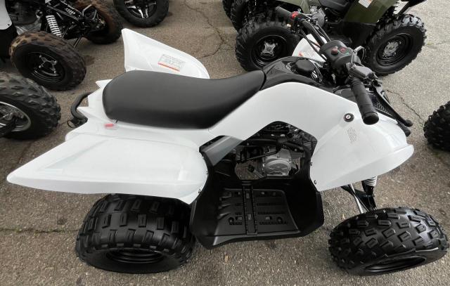 2022 YAMAHA YFM90 R RF3AB11E6NT005741