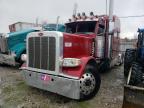 Lot #2993389849 2022 PETERBILT 389