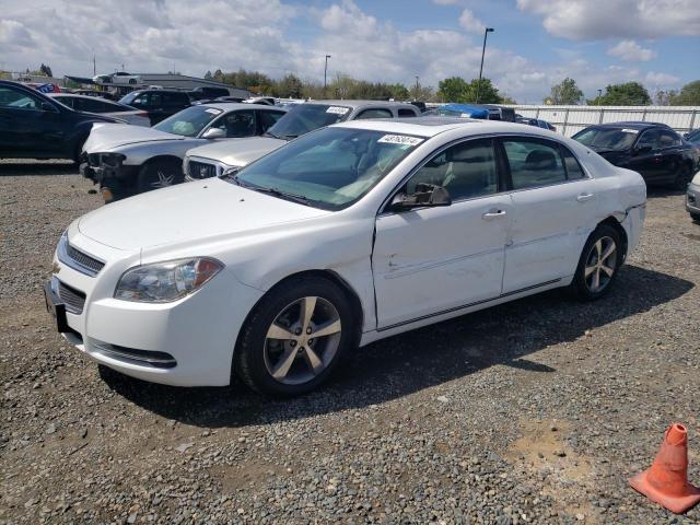 Lot #2457605135 2011 CHEVROLET MALIBU 1LT salvage car