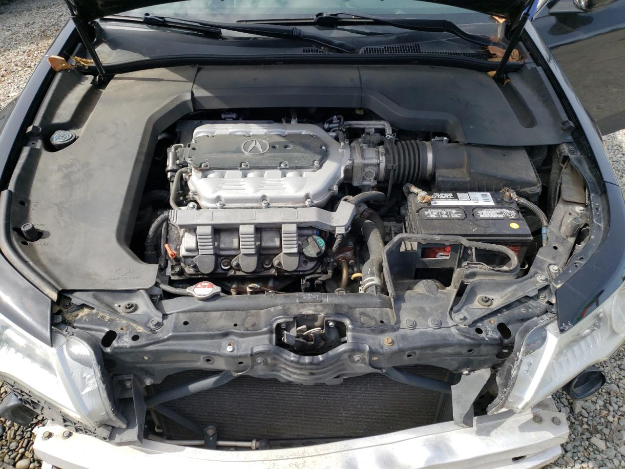 19UUA9F59AA007399 2010 Acura Tl