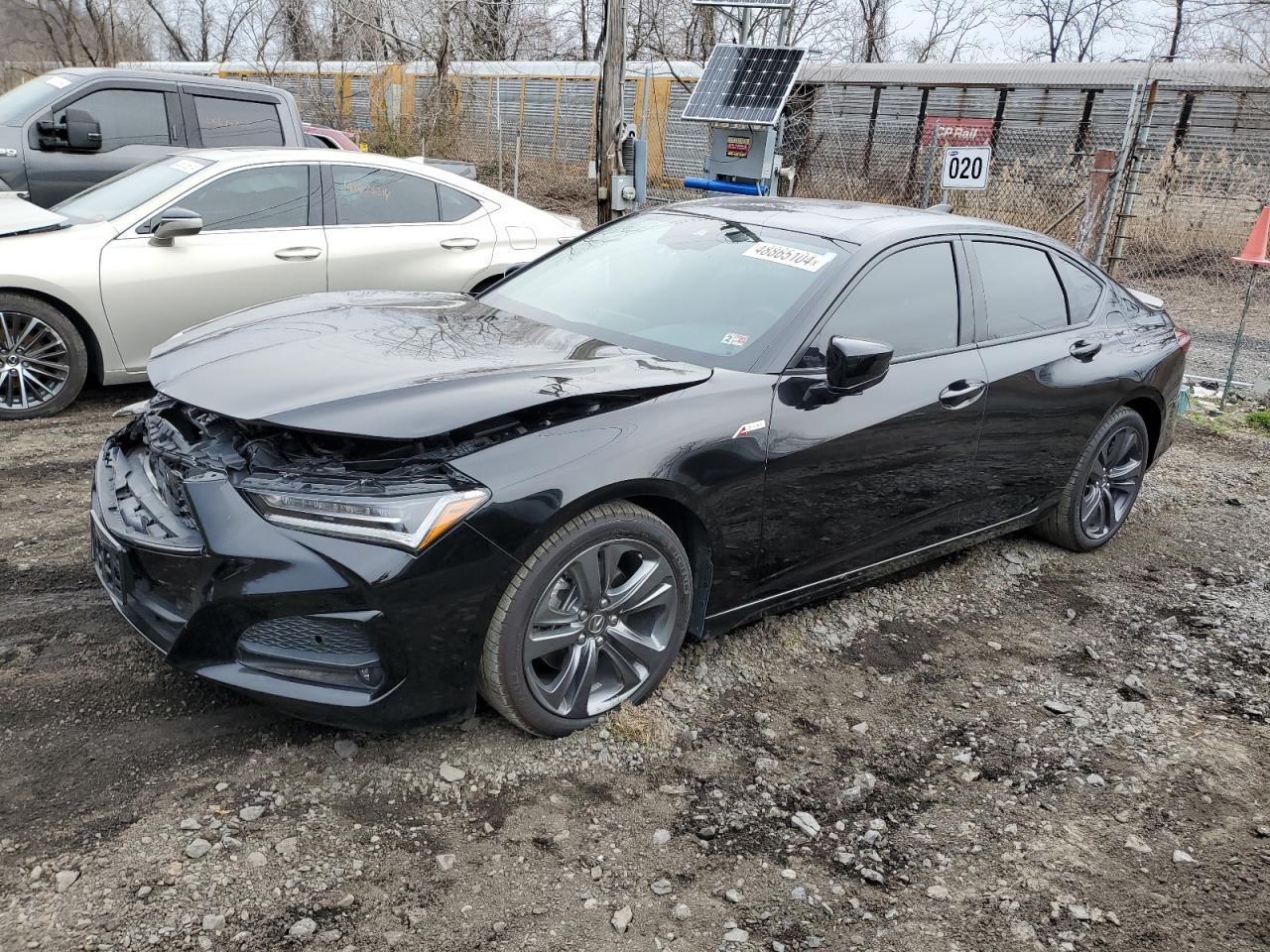 Lot #2438427556 2023 ACURA TLX A-SPEC