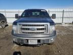 FORD F150 SUPER photo