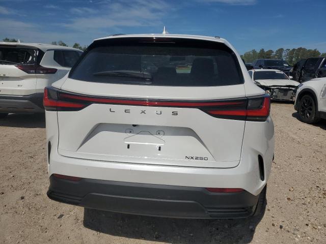 2024 LEXUS NX 250 BAS JTJADCAZ9R2008300