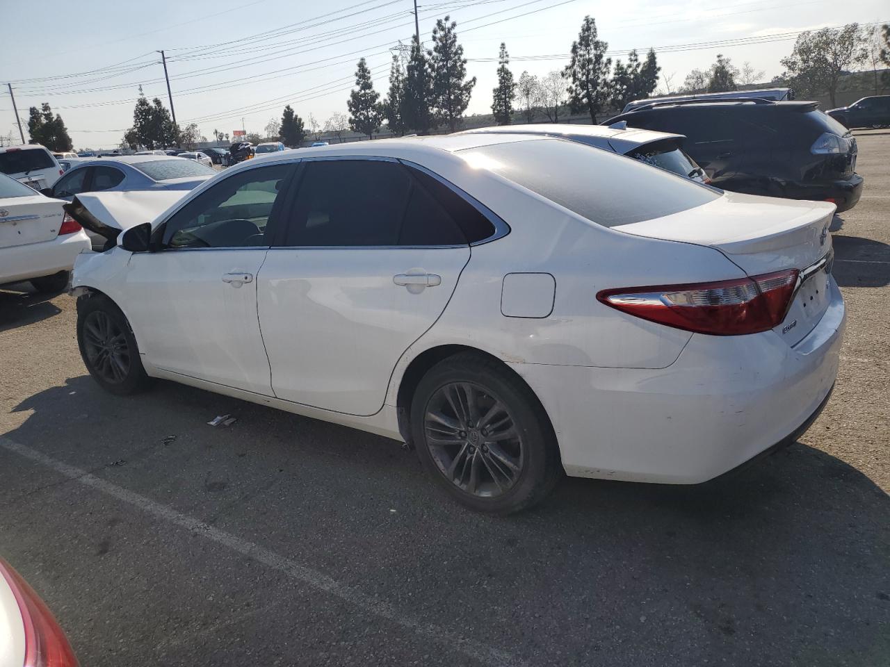 Lot #2911687845 2017 TOYOTA CAMRY LE