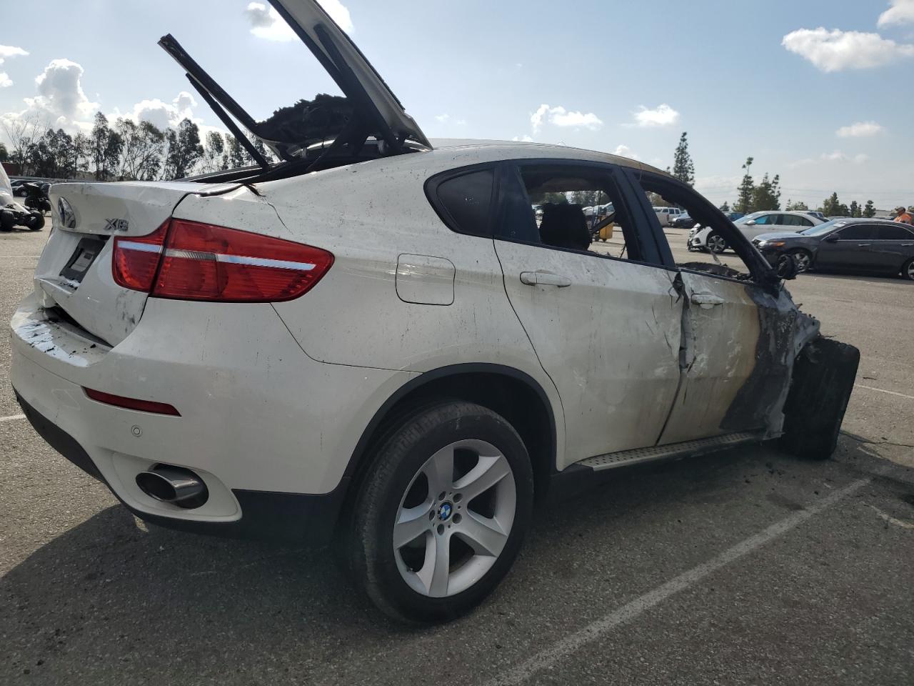 5UXFG2C53BLX06078 2011 BMW X6 xDrive35I