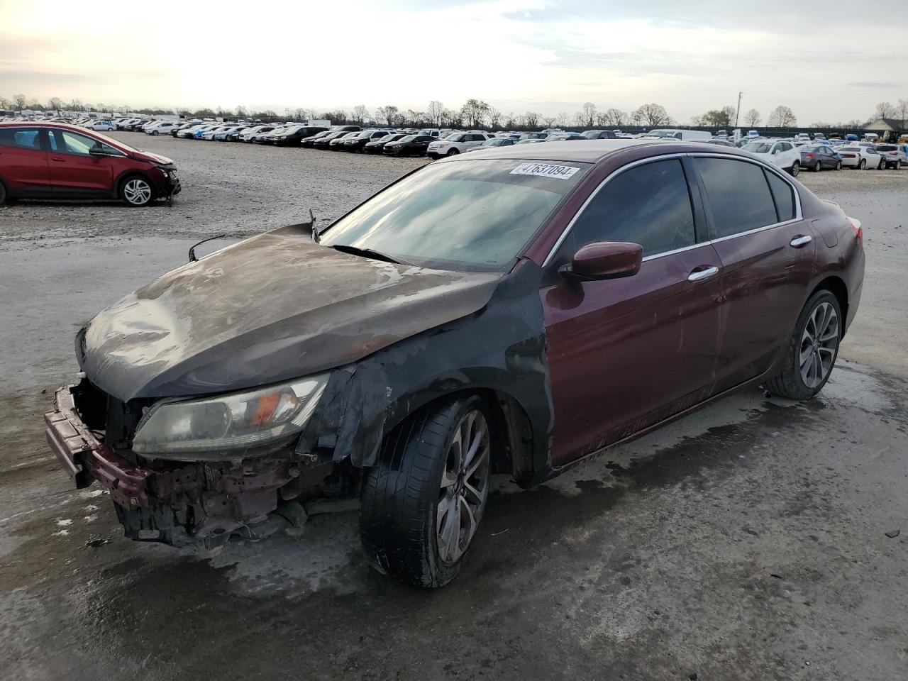 Lot #2501483984 2015 HONDA ACCORD SPO