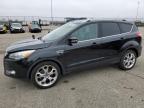 2015 FORD ESCAPE TIT - 1FMCU0J91FUA59599