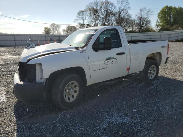 Vin: 1gcpkpea5az159337, lot: 81001523, chevrolet silverado k1500 2010 img_1