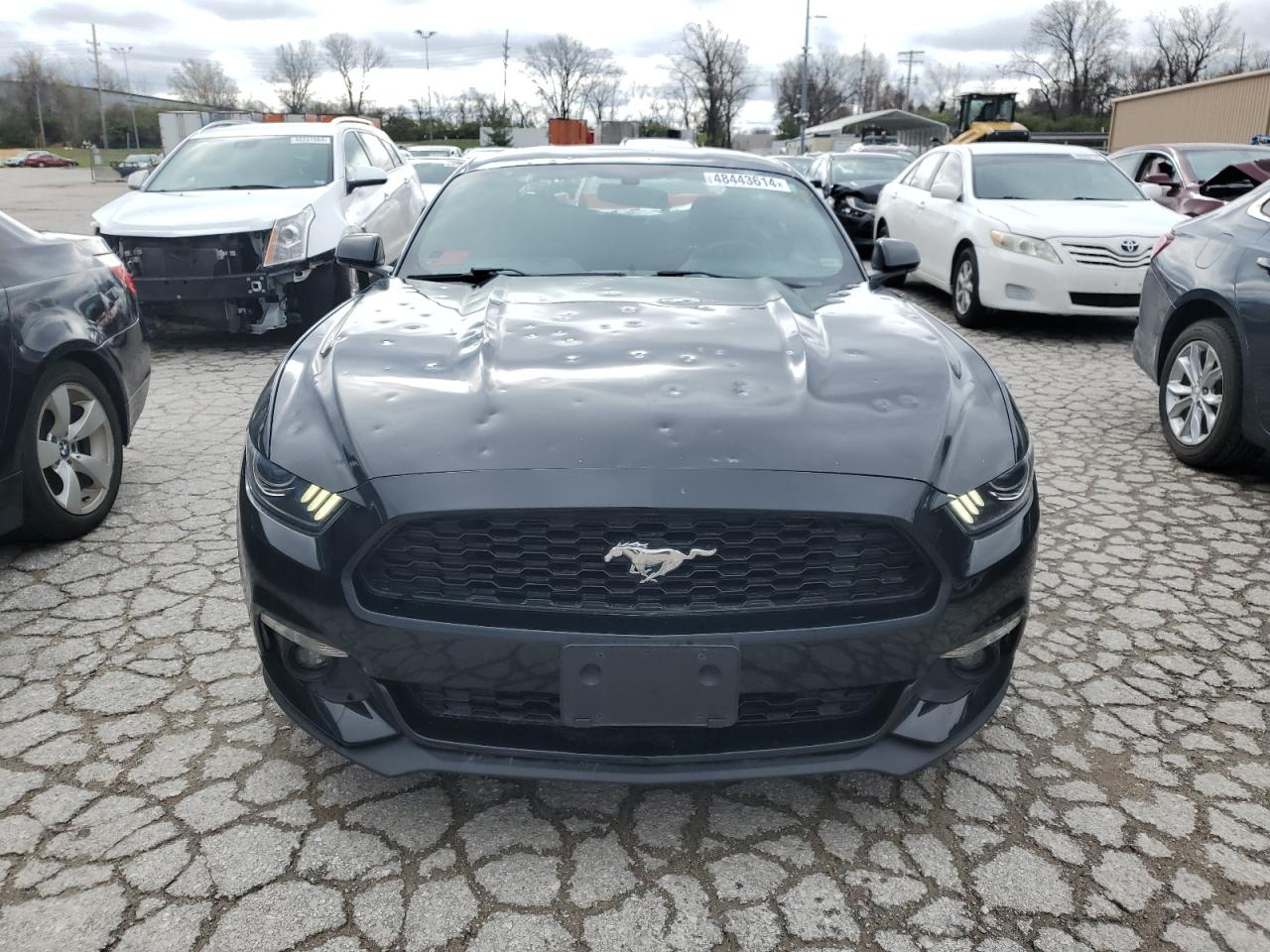 Lot #2489908792 2017 FORD MUSTANG